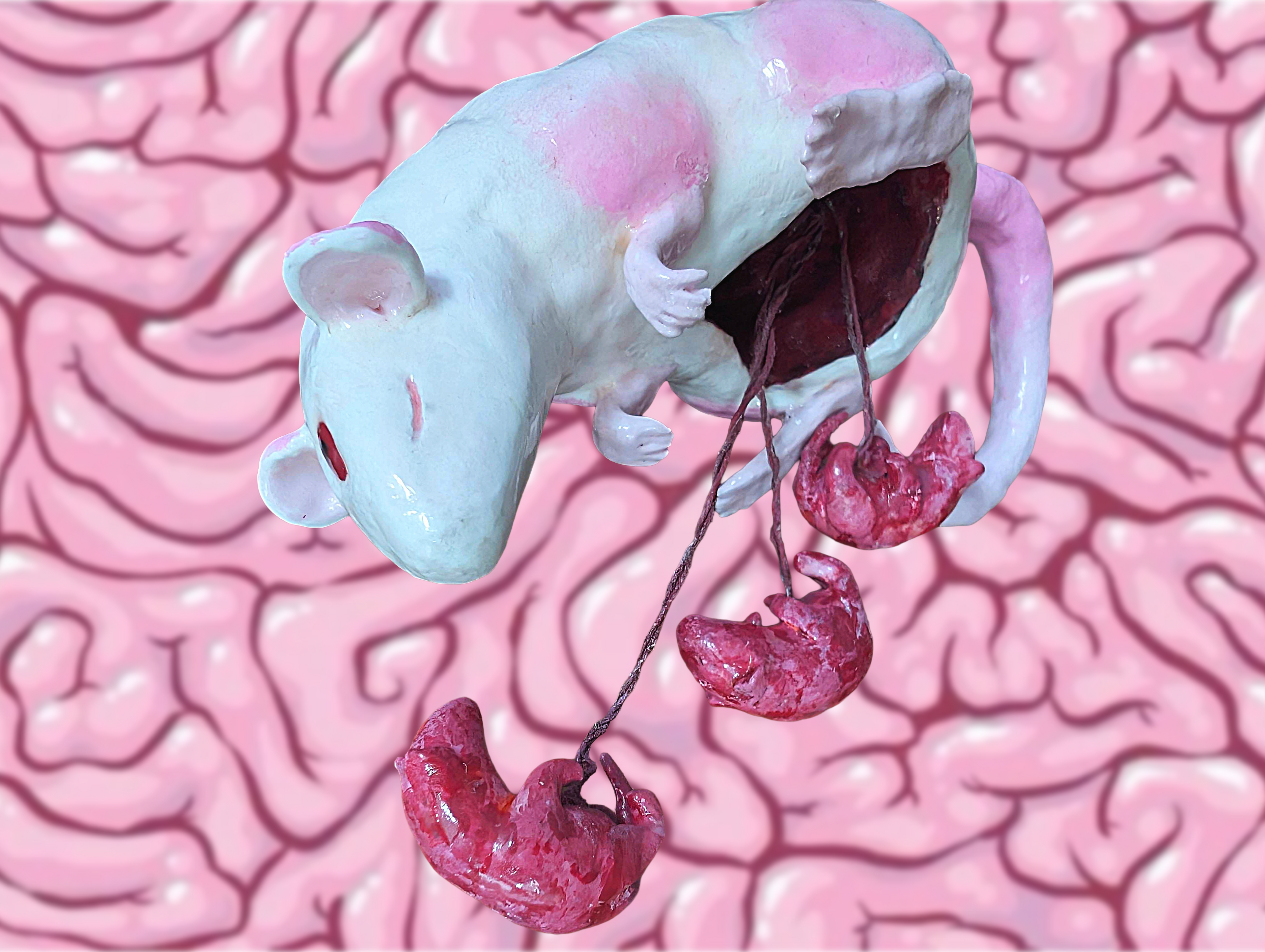 Trinkets and sculptures